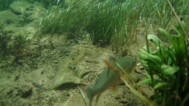 Una Canyon Paradise Bihać Zewnętrze zdjęcie