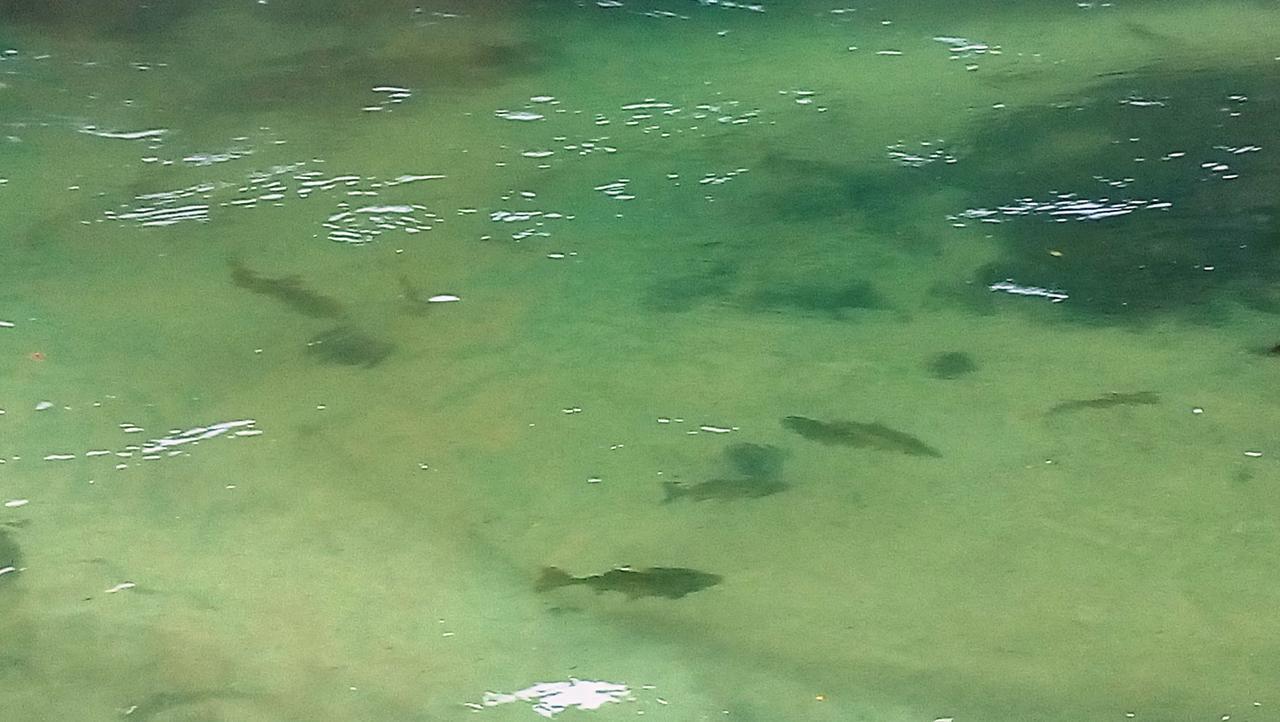 Una Canyon Paradise Bihać Zewnętrze zdjęcie